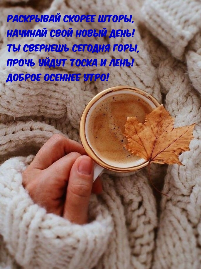 Раскрывай скорее шторы, начинай свой новый день!