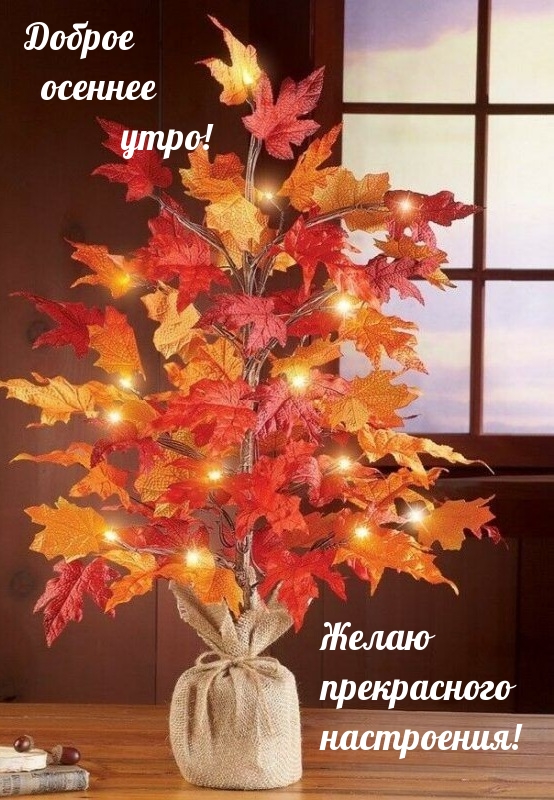 Доброе осеннее утро! Желаю прекрасного настроения!