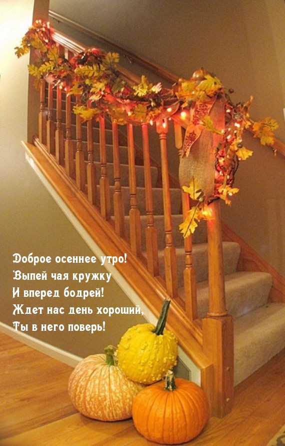 Доброе осеннее утро! Выпей чая кружку и вперед бодрей!