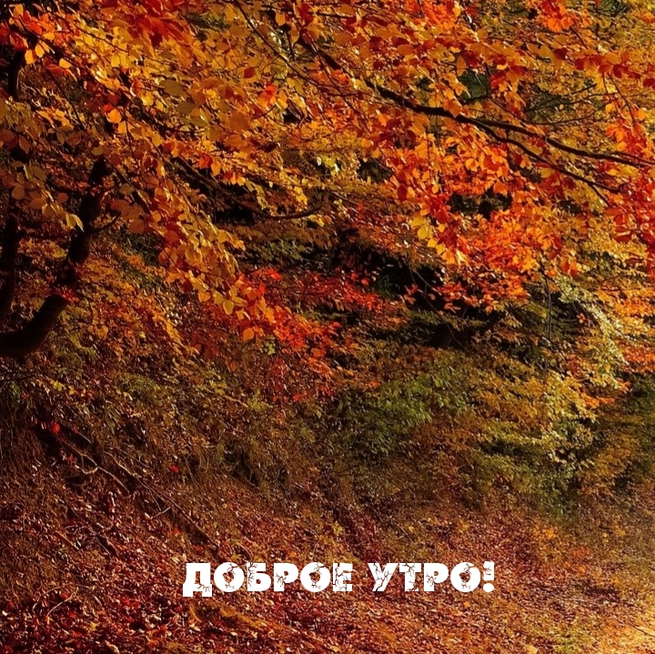 Доброе утро!