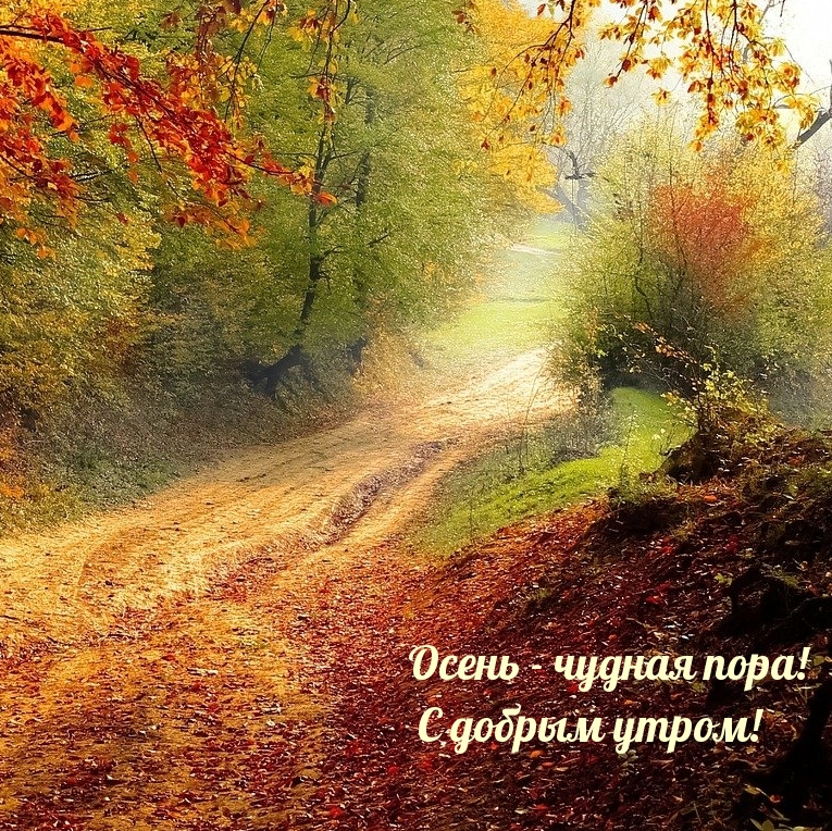 Картинка - Осень - чудная пора! С добрым утром!.