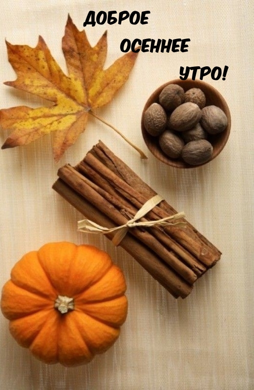 Доброе осеннее утро!