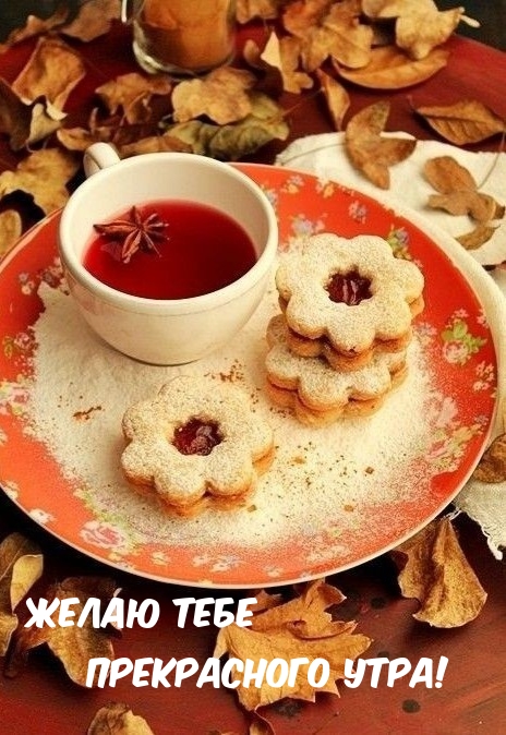 Желаю тебе прекрасного утра!