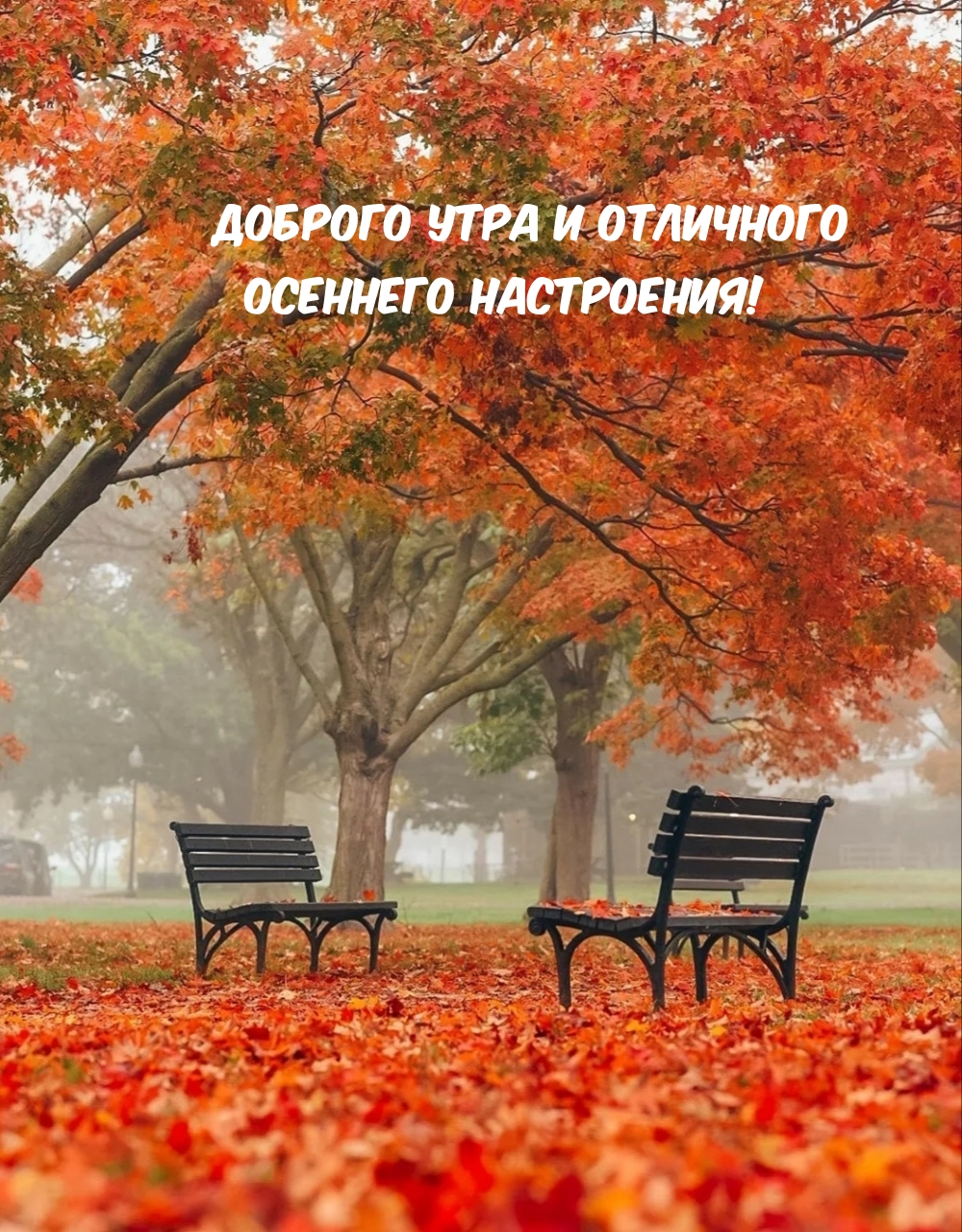 Доброго утра и отличного осеннего настроения!