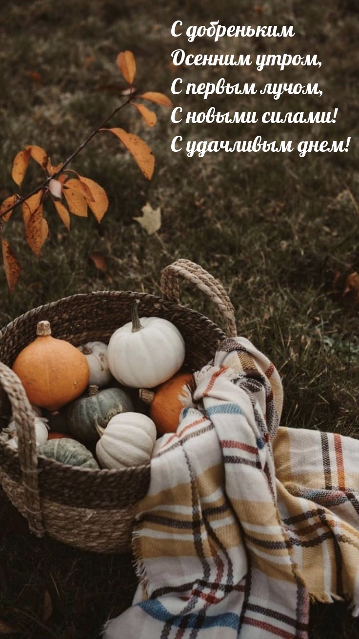 С новыми силами! С удачливым днем!