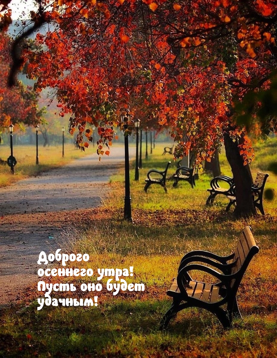 Доброго осеннего утра! Пусть оно будет удачным!