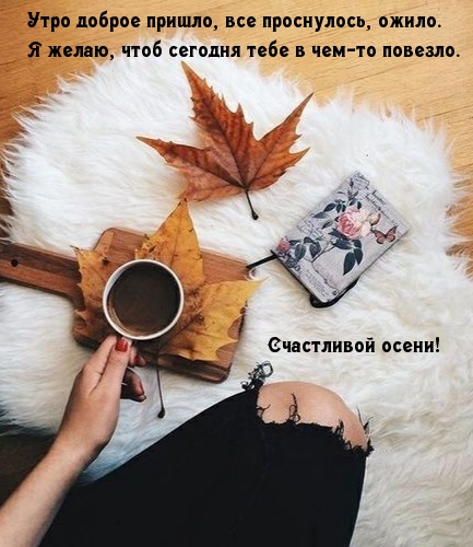 Утро доброе пришло, все проснулось, ожило
