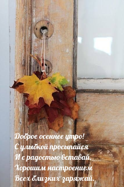 Доброе осеннее утро! С улыбкой просыпайся