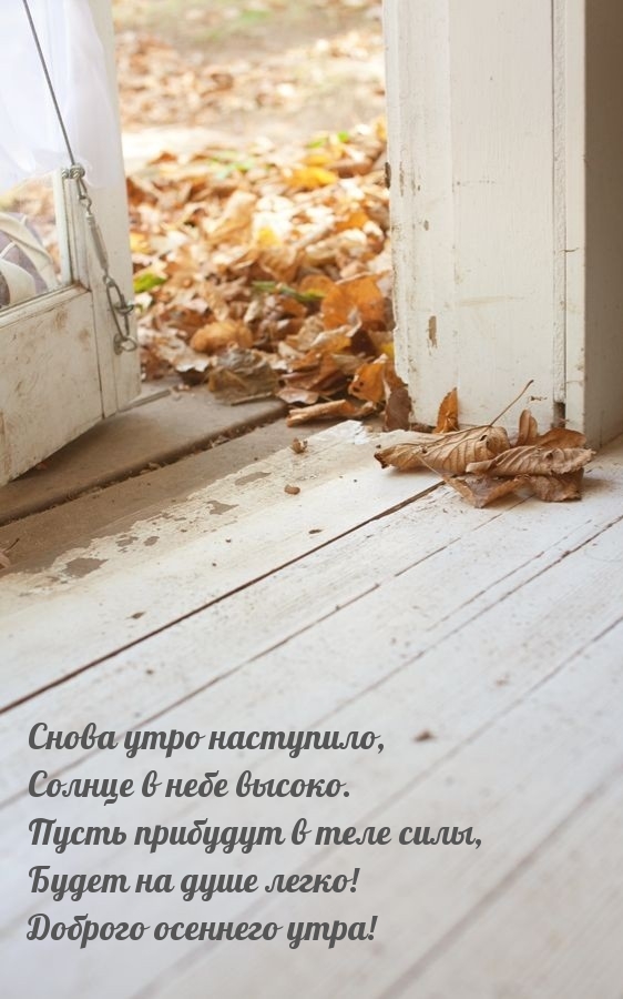 Пусть прибудут в теле силы. Доброго осеннего утра!