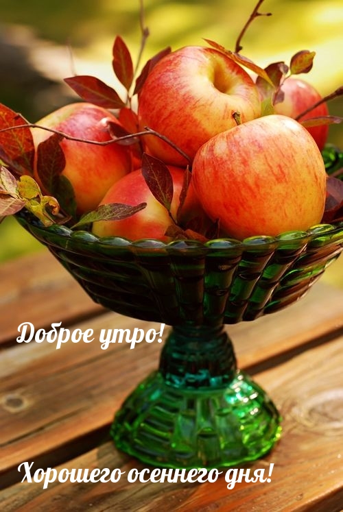 Доброе утро! Хорошего осеннего дня!