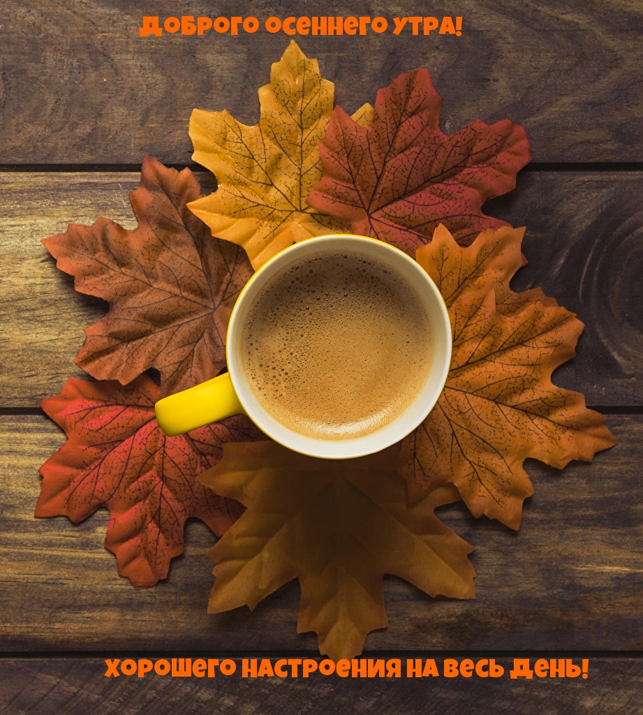 Доброго осеннего утра! Хорошего настроения на весь день!