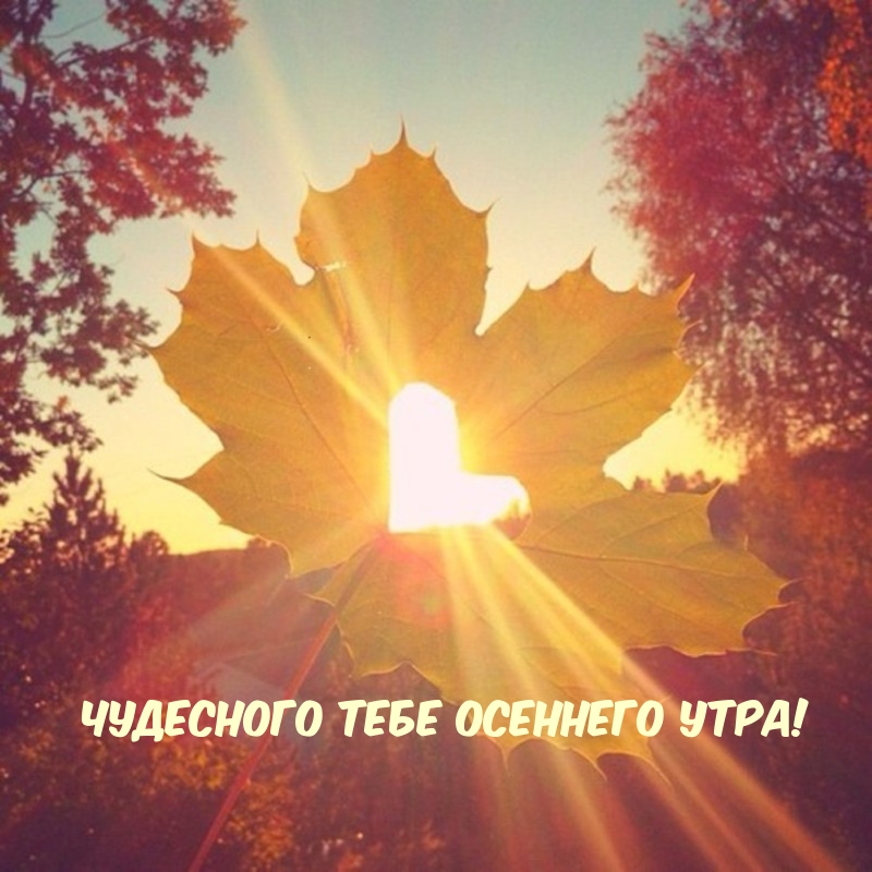 Чудесного тебе осеннего утра!