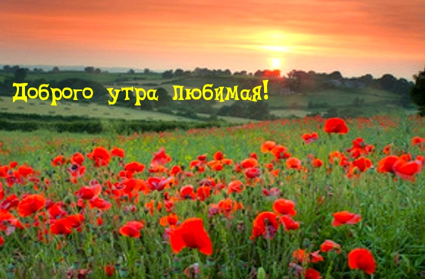 Доброго утра любимая!
