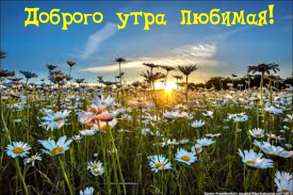 Доброго утра любимая!