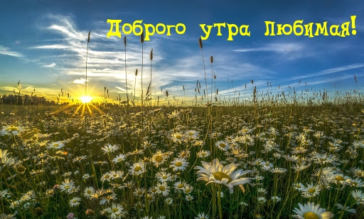 Доброго утра любимая!