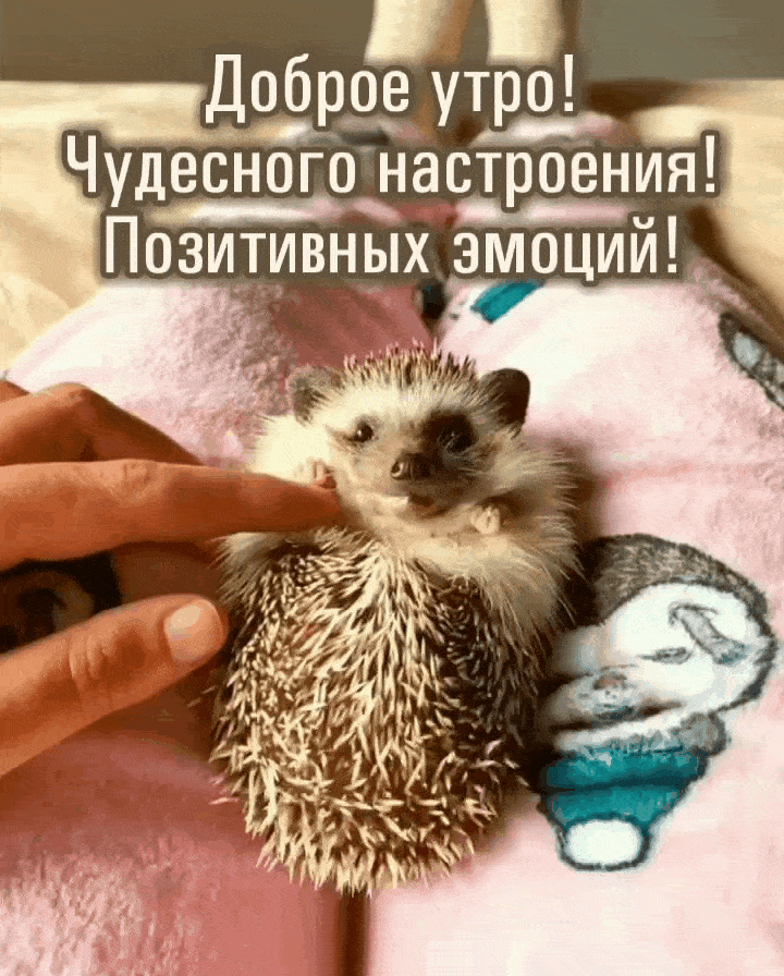 Доброе утро! Чудесного настроения!