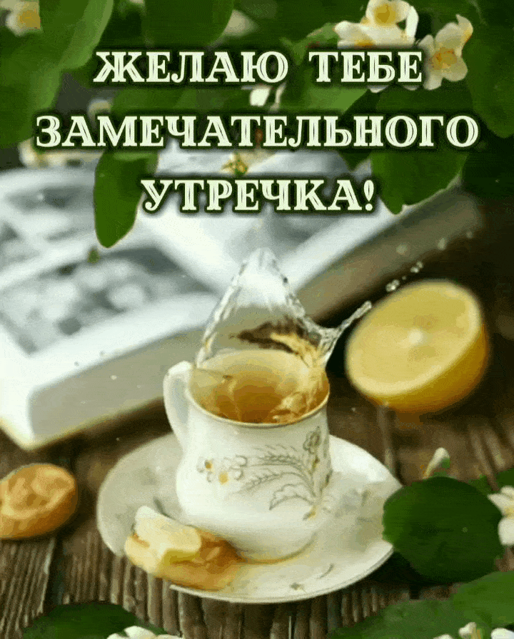 Желаю тебе замечательного утречка!