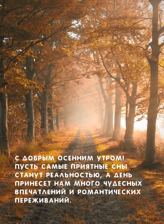 С добрым осенним утром!