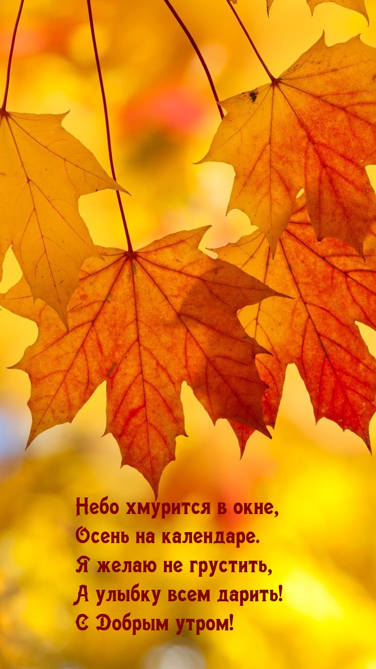 Я желаю не грустить, а улыбку всем дарить! С Добрым утром!