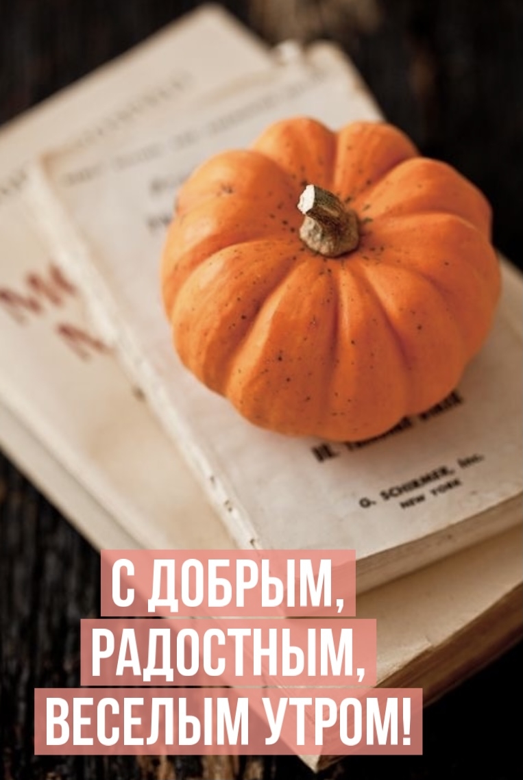 С добрым, радостным, веселым утром!