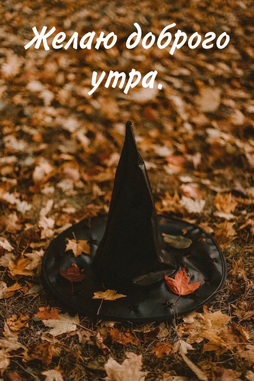 Желаю доброго утра.