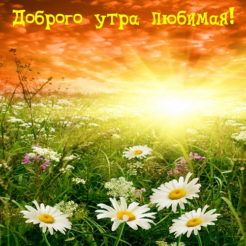 Доброго утра любимая!