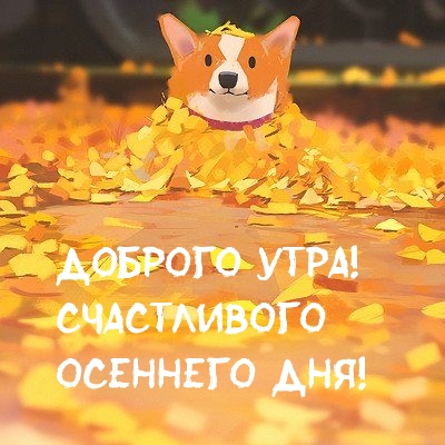 Доброго утра! Счастливого осеннего дня!