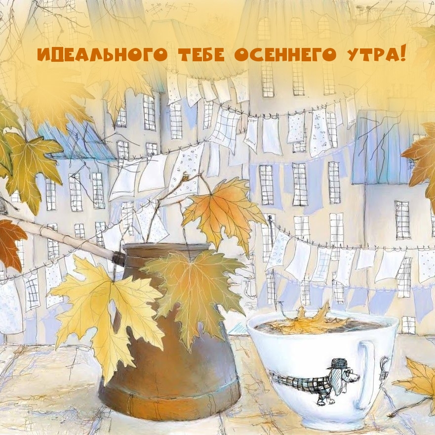 Идеального тебе осеннего утра!