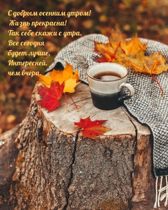 С добрым осенним утром! Жизнь прекрасна!