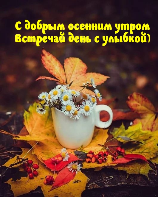 С добрым осенним утром встречай день с улыбкой)