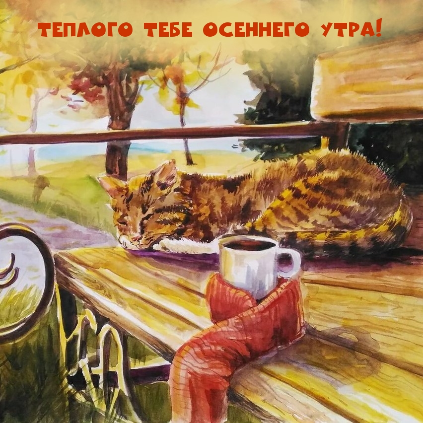 Теплого тебе осеннего утра!