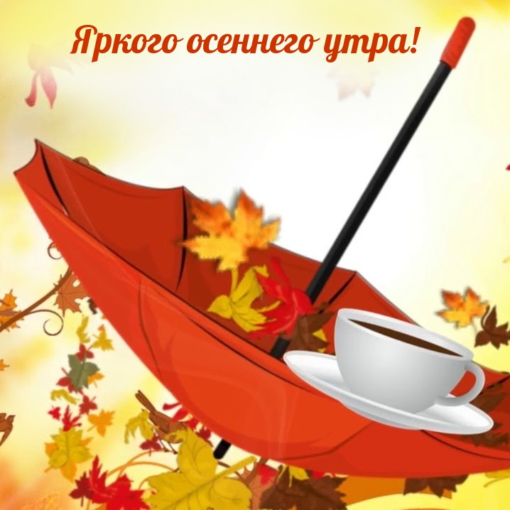 Яркого осеннего утра!
