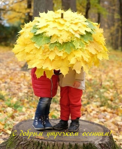 С добрым утречком осенним!