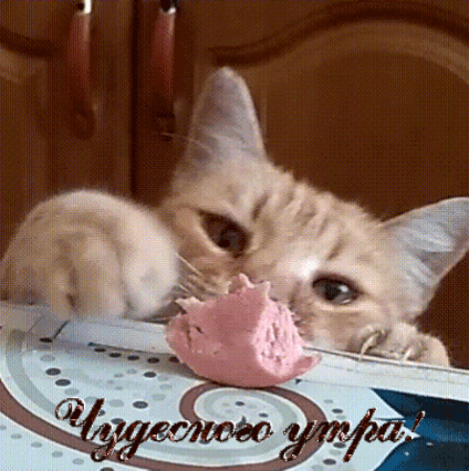 Чудесного утра!