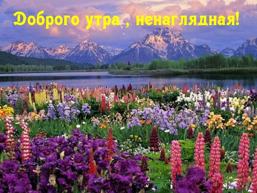 Доброго утра , ненаглядная!