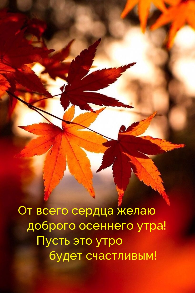 От всего сердца желаю доброго осеннего утра!