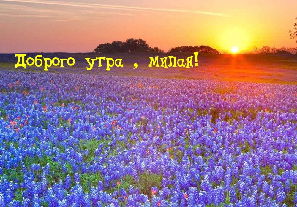 Доброго утра , милая!