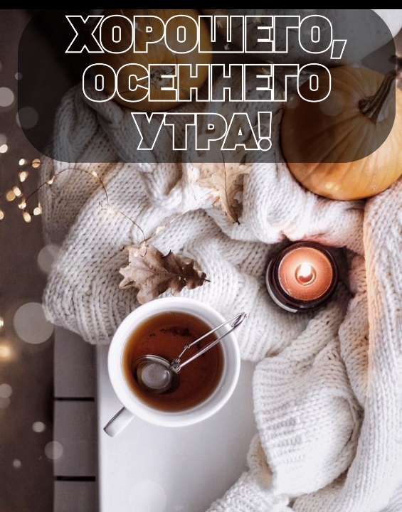 Хорошего, осеннего утра!