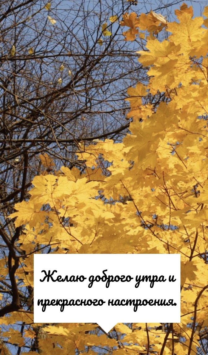 Желаю доброго утра и прекрасного настроения.