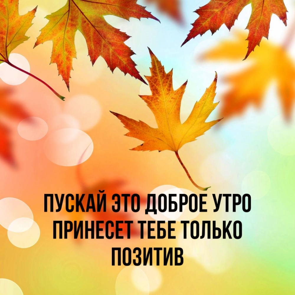 Пускай это доброе утро принесет тебе только позитив