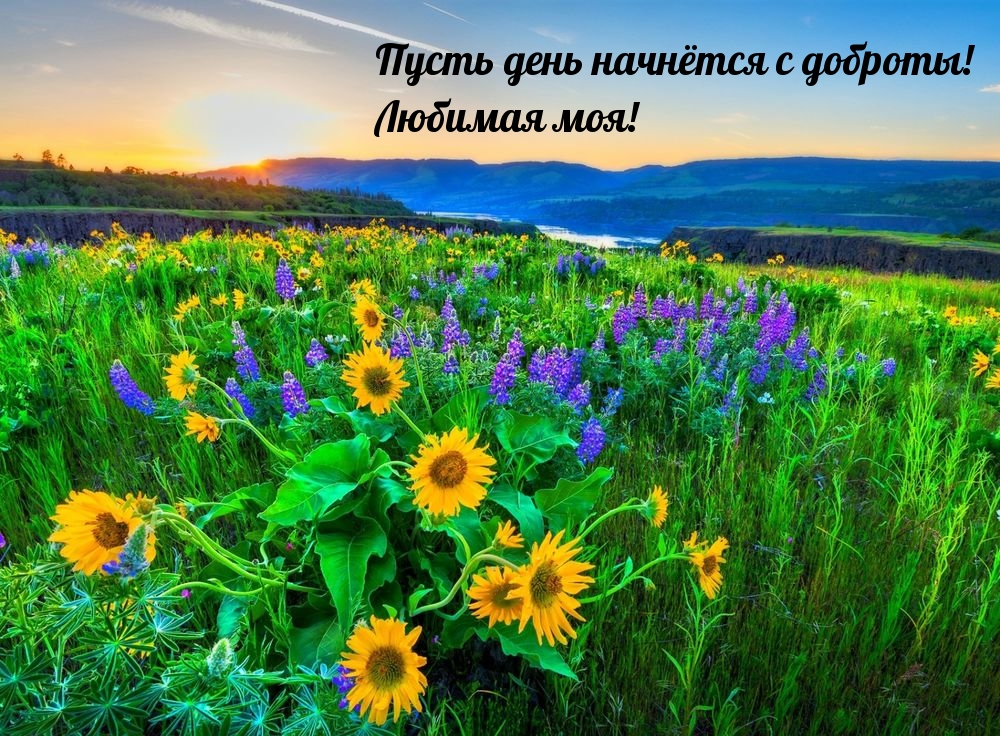 Пусть день начнётся с доброты! Любимая моя!