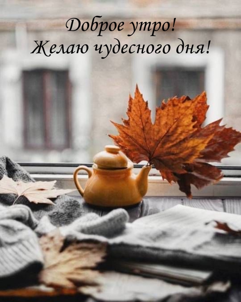 Доброе утро! Желаю чудесного дня!