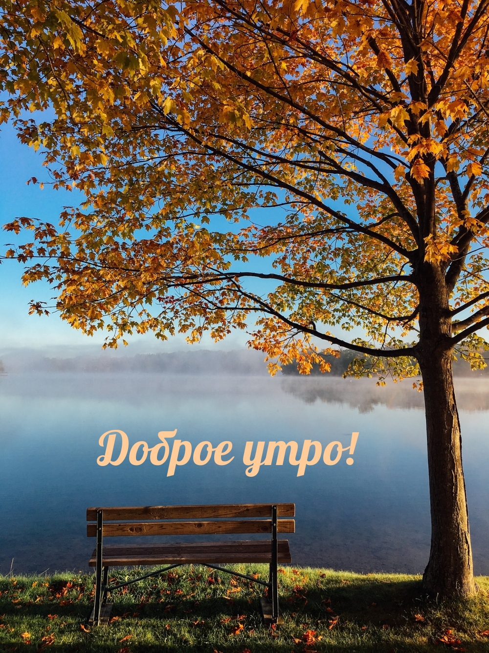 Доброе утро!
