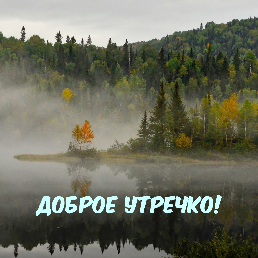Доброе утречко!