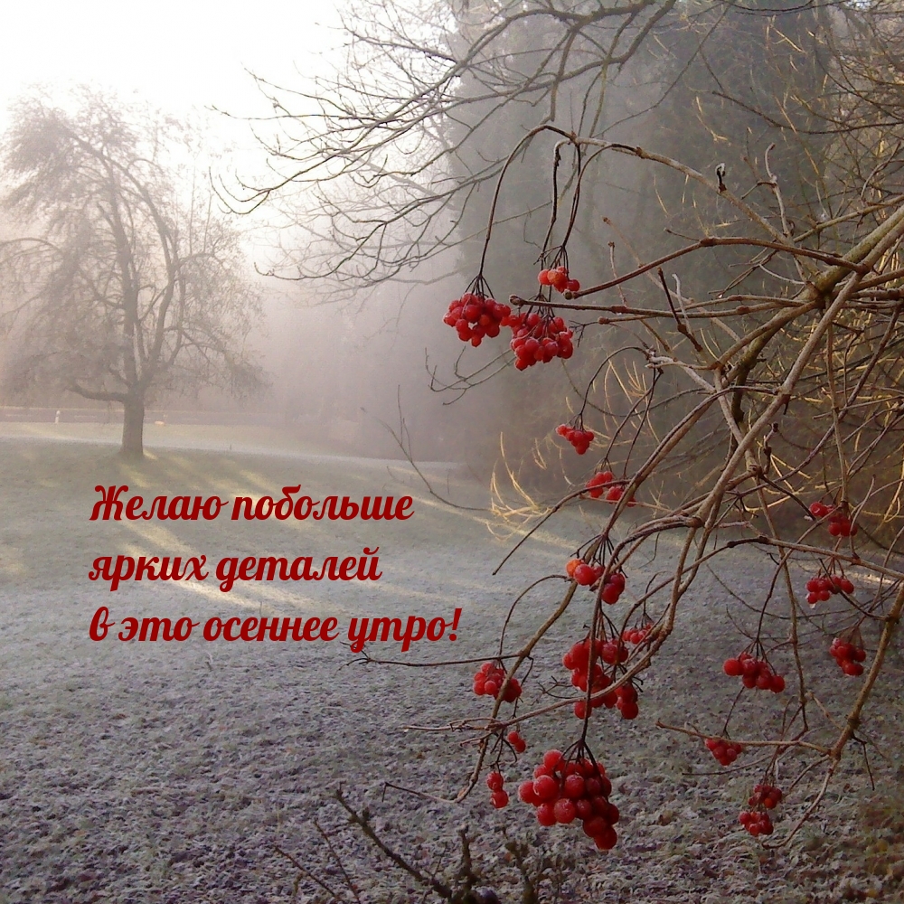 Желаю побольше ярких деталей в это осеннее утро!