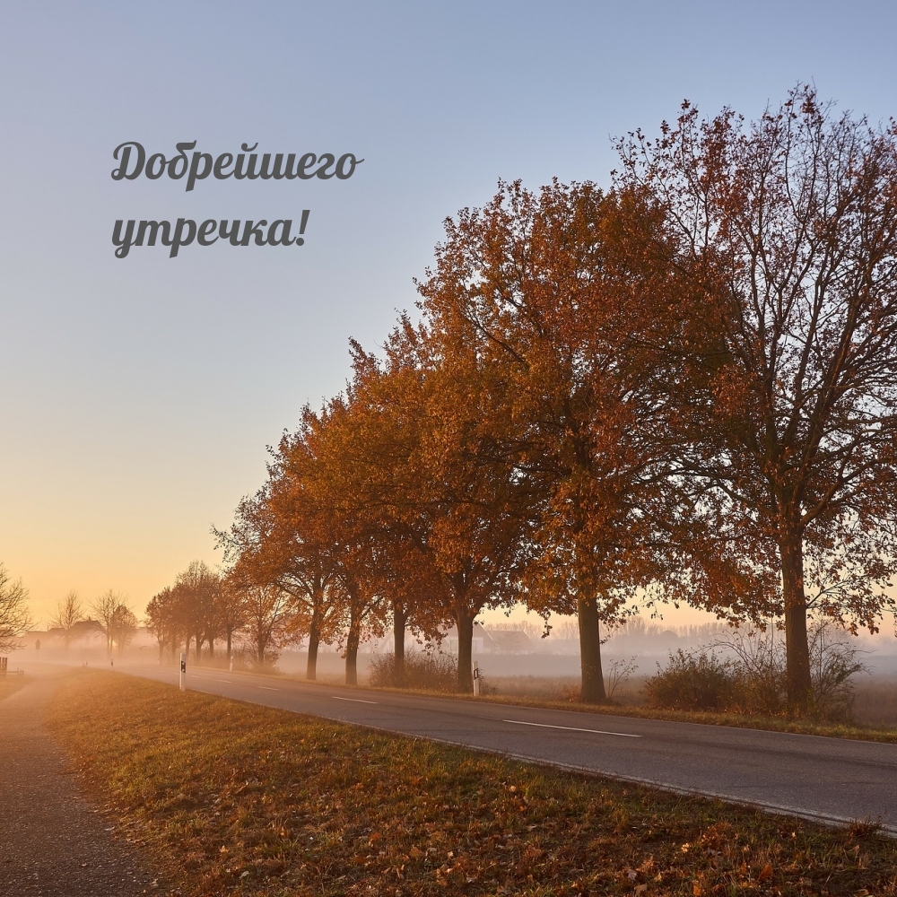 Добрейшего утречка!