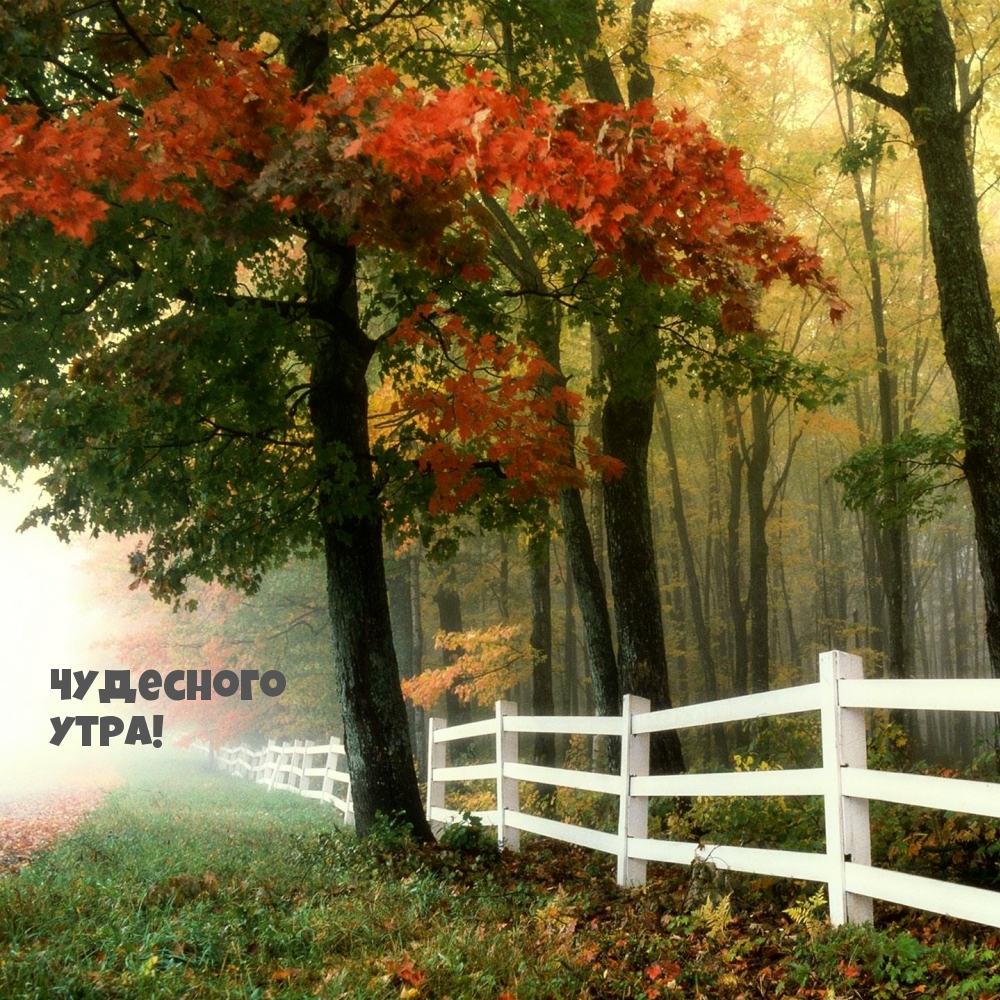 Чудесного утра!