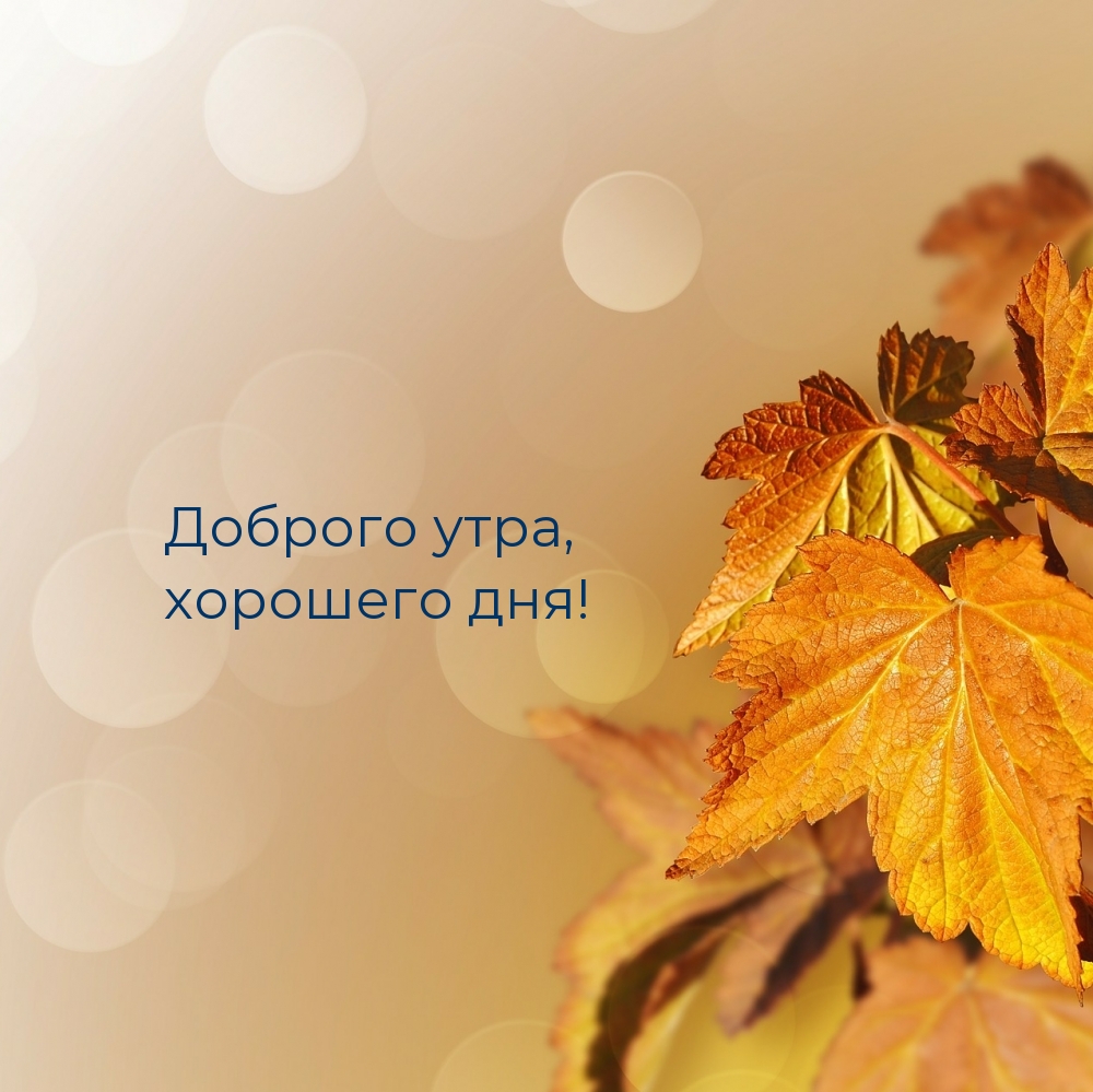 Доброго утра, хорошего дня!