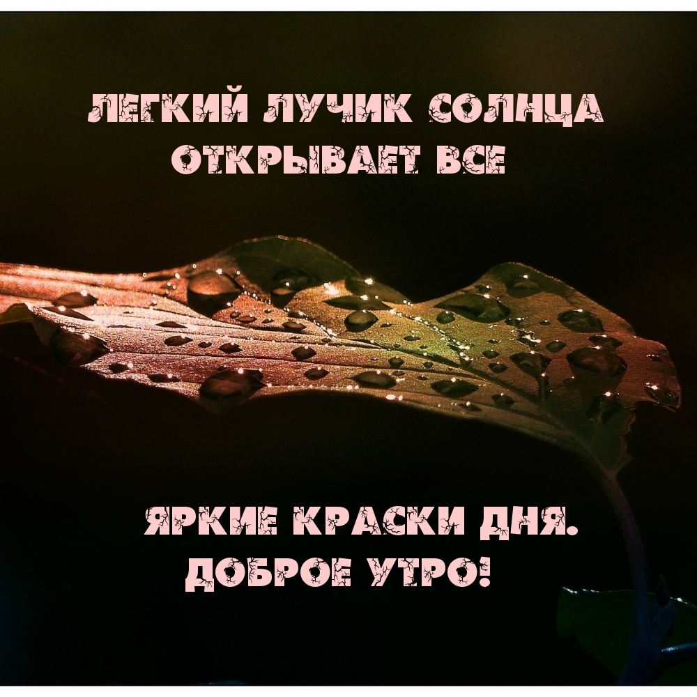 Легкий лучик солнца открывает все яркие краски дня.
