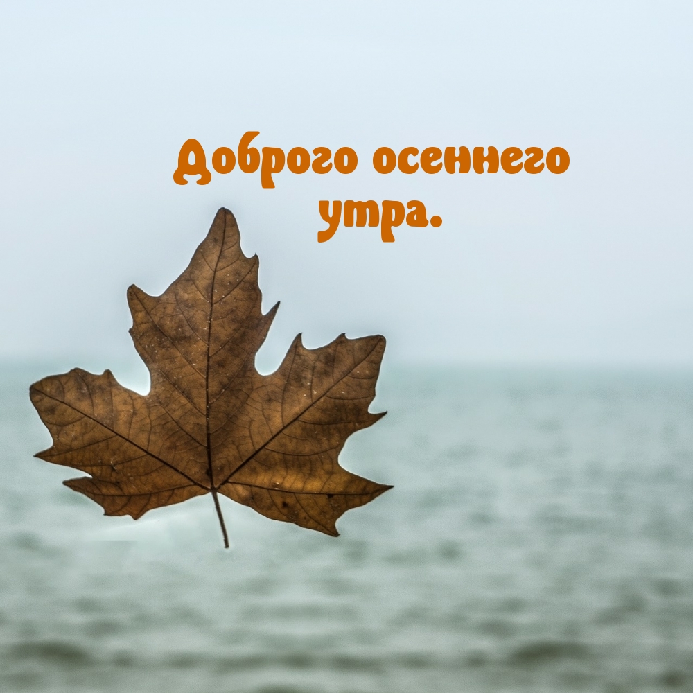 Доброго осеннего утра.